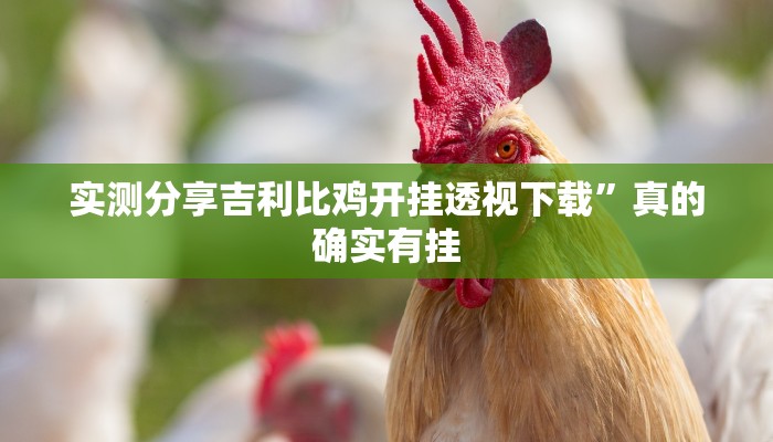 攻略必备“微乐四冲辅助开挂”真的确实有挂