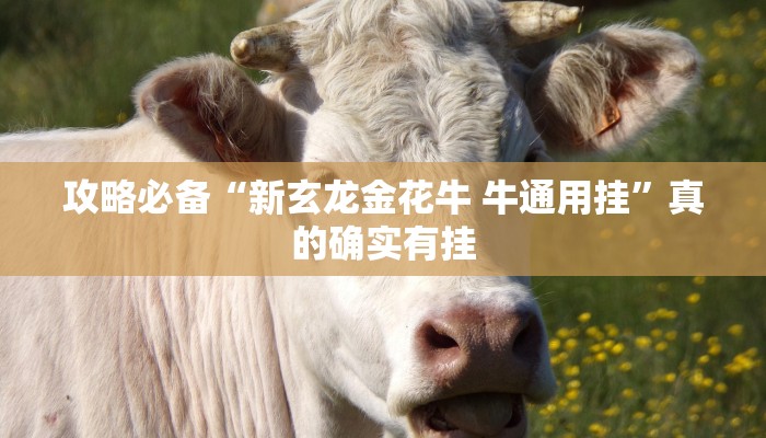 实测教程”新广西老友麻将通用挂”(原来确实是有挂)