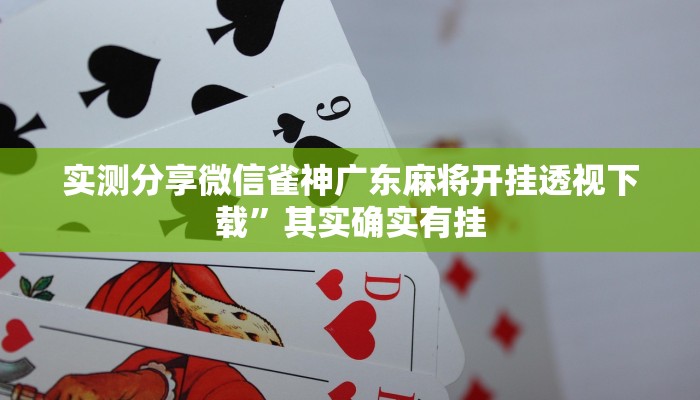 攻略必备“博雅丽江棋牌辅助挂软件”其实确实有挂
