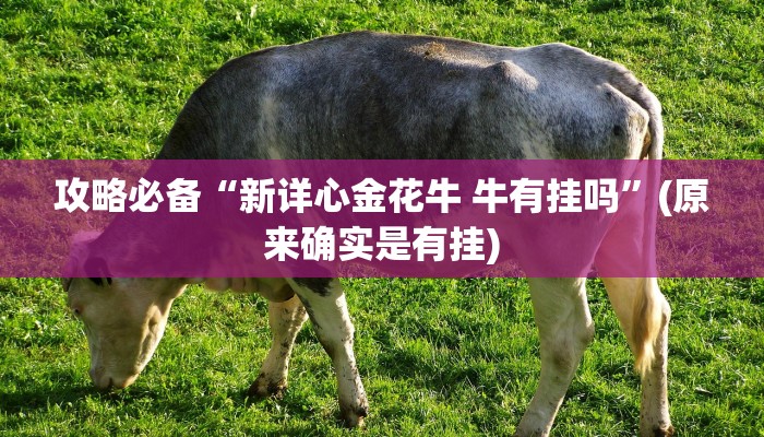 实测分享微乐卡五星有挂吗”其实确实有挂
