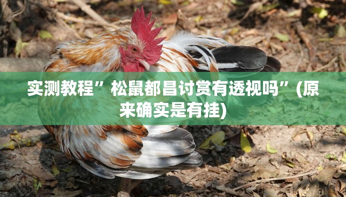 实测教程”新游道金花牛 牛通用挂”真的确实有挂