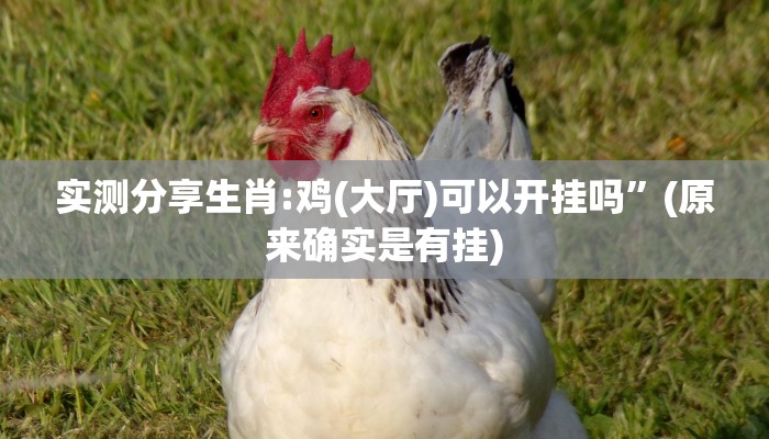 实测分享生肖:鸡(大厅)可以开挂吗”(原来确实是有挂)