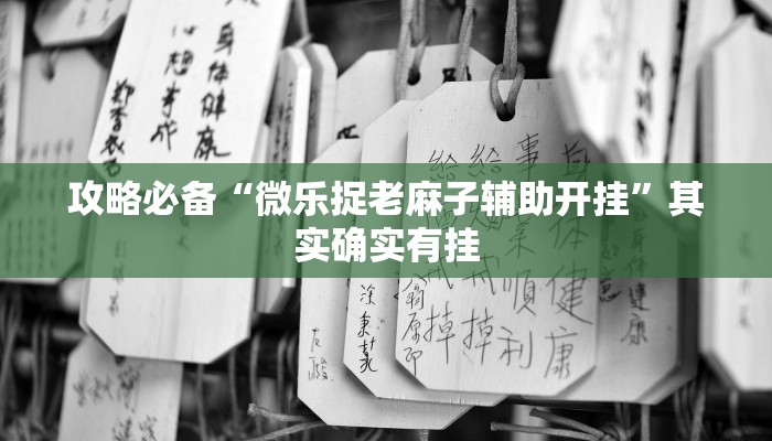 攻略必备“微乐捉老麻子辅助开挂”其实确实有挂
