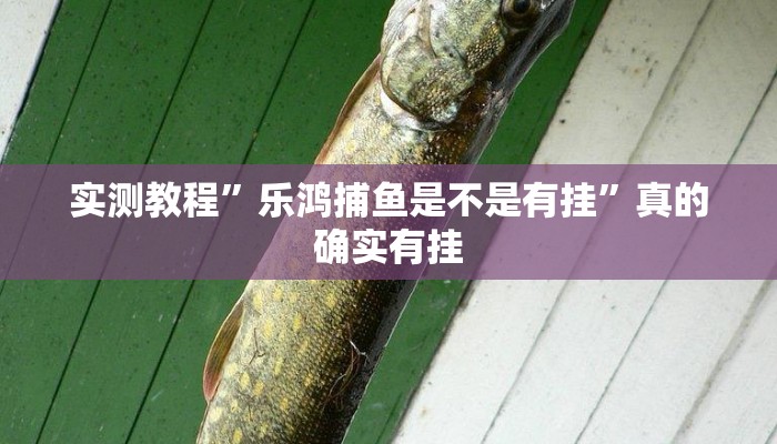 实测教程”乐鸿捕鱼是不是有挂”真的确实有挂