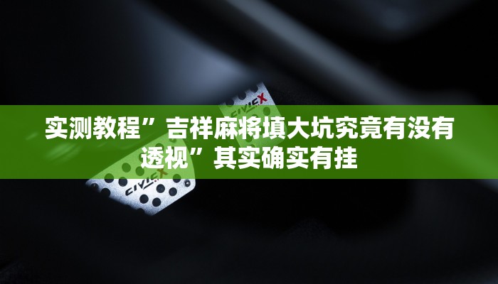 实测分享新玖天作弊透视开挂软件”真的确实有挂