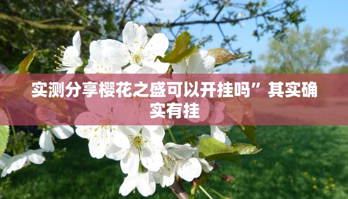 攻略必备“微壳三打哈怎么用挂”其实确实有挂

