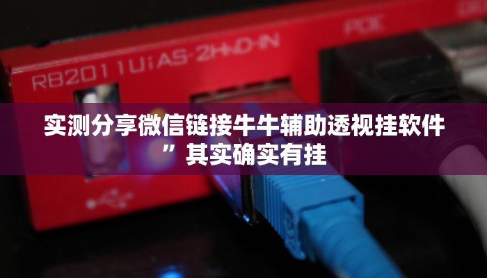实测教程”黄金轮辅助透视挂软件”真的确实有挂