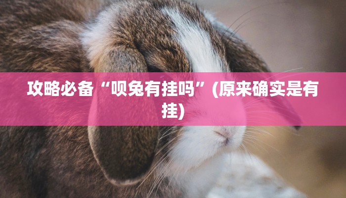 实测教程”海米大厅作弊透视软件方法”(原来确实是有挂)