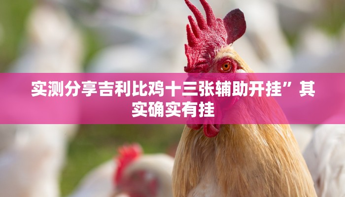 攻略必备“微友南昌麻将透视”真的确实有挂