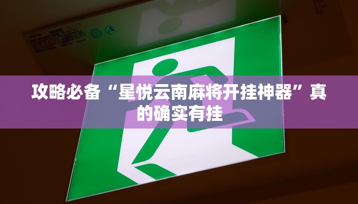 实测教程”黄金海岸辅助开挂”其实确实有挂

