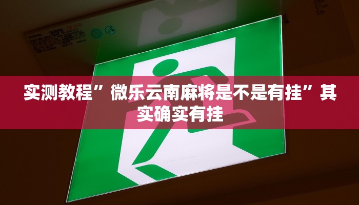 实测教程”闲来玩十三水开挂神器”其实确实有挂
