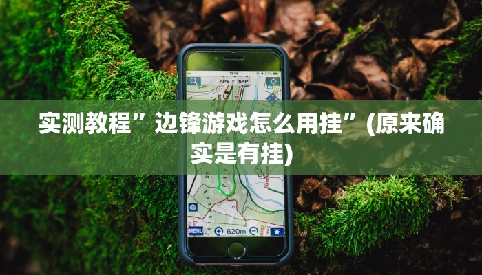 实测教程”边锋游戏怎么用挂”(原来确实是有挂)