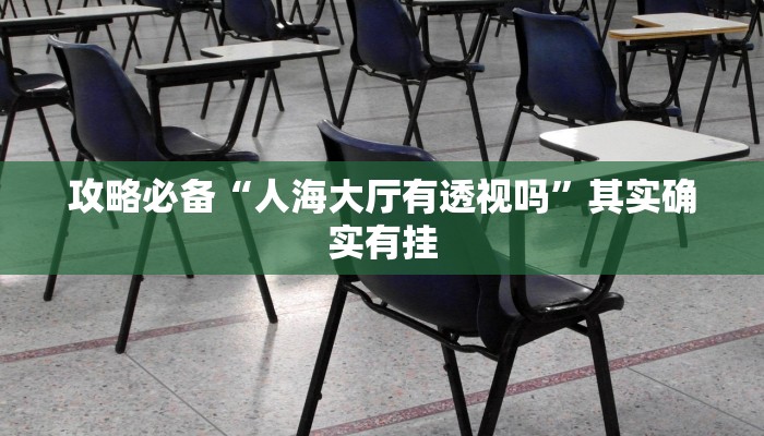 攻略必备“人海大厅有透视吗”其实确实有挂
