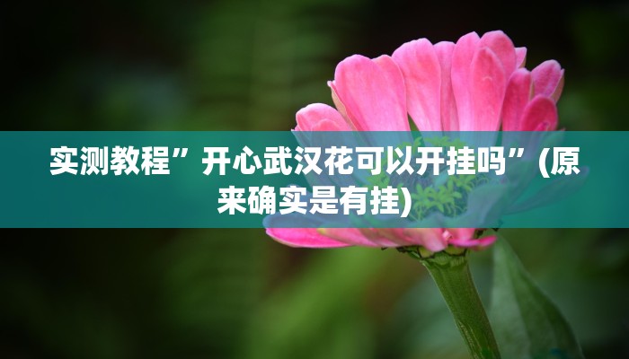 攻略必备“芙蓉大厅斗牛有透视吗”(原来确实是有挂)