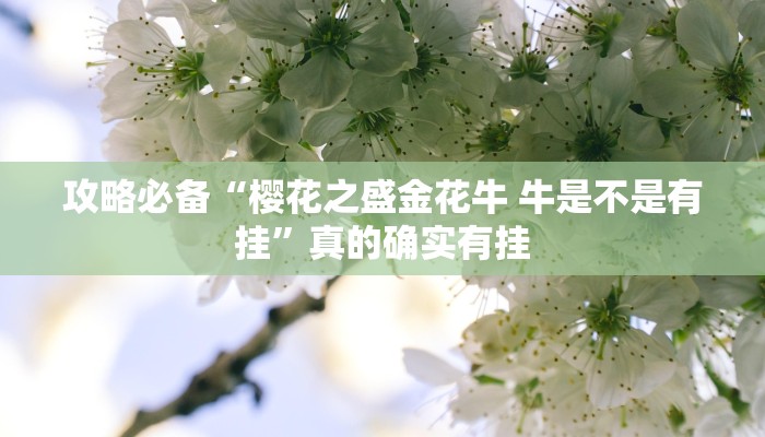 攻略必备“创乐缘十三道辅助透视挂软件”真的确实有挂