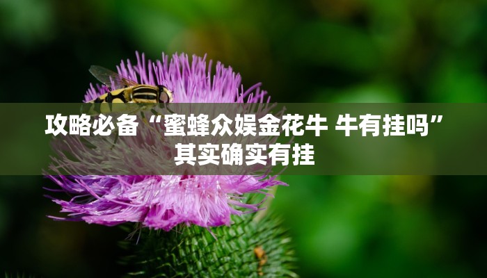 实测教程”乐清十三张透视挂”真的确实有挂