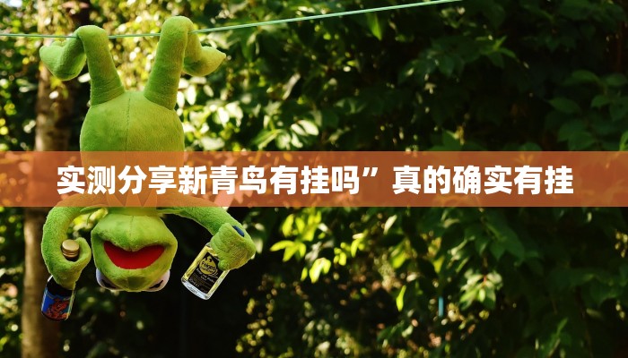 实测教程”相约麻将十三水通用挂”(原来确实是有挂)