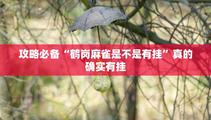 攻略必备“泰和K包辅助透视挂软件”其实确实有挂
