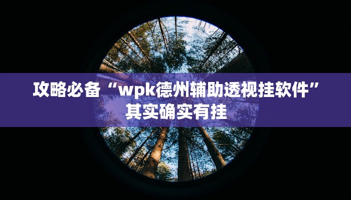 攻略必备“颖上麻将辅助透视挂软件”其实确实有挂
