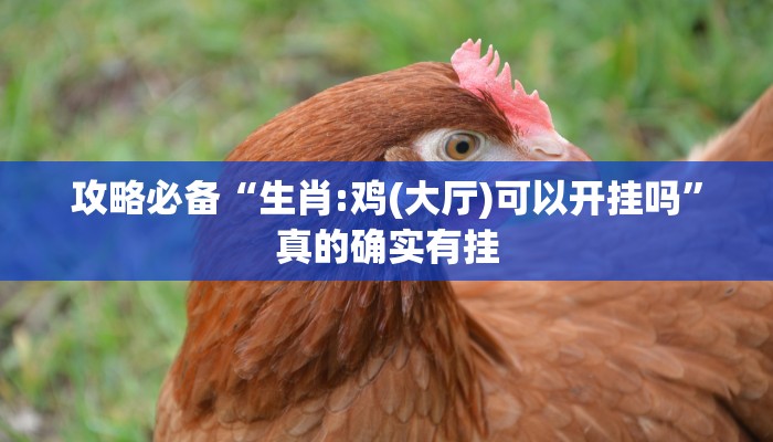 攻略必备“天崖麻将通用挂”其实确实有挂
