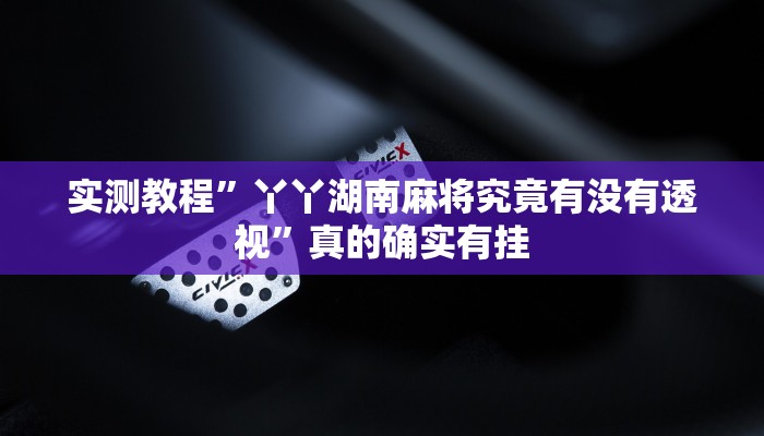 实测教程”大宝苏北游戏辅助挂软件”(原来确实是有挂)