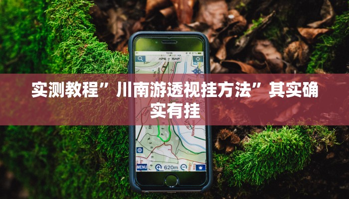 实测教程”战皇大厅透视挂”其实确实有挂
