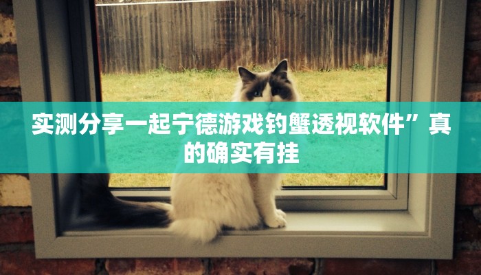 实测教程”新玉海楼茶苑拔萝卜开挂神器”真的确实有挂