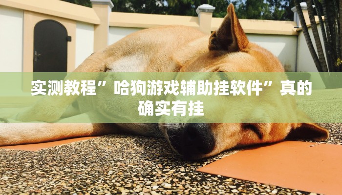 攻略必备“仪征麻将怎么开挂”其实确实有挂
