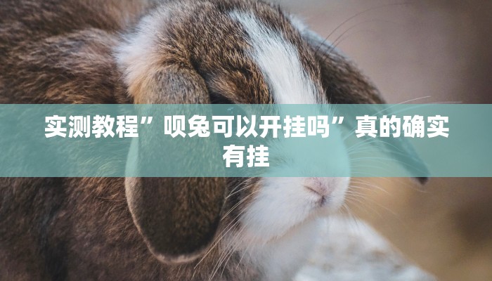 实测分享新九哥有挂吗”(原来确实是有挂)
