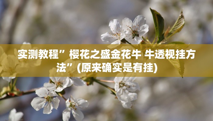攻略必备“皖约比鸡透视软件”其实确实有挂
