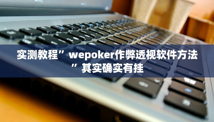 实测教程”wepoker作弊透视软件方法”其实确实有挂
