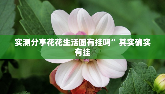 实测分享新天道开挂透视下载”真的确实有挂