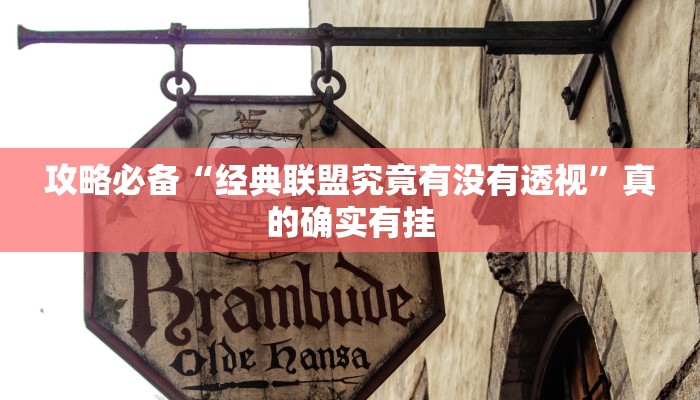 攻略必备“天天贵阳麻将开挂透视下载”(原来确实是有挂)