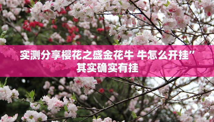 攻略必备“娱网皮球作弊透视软件方法”其实确实有挂
