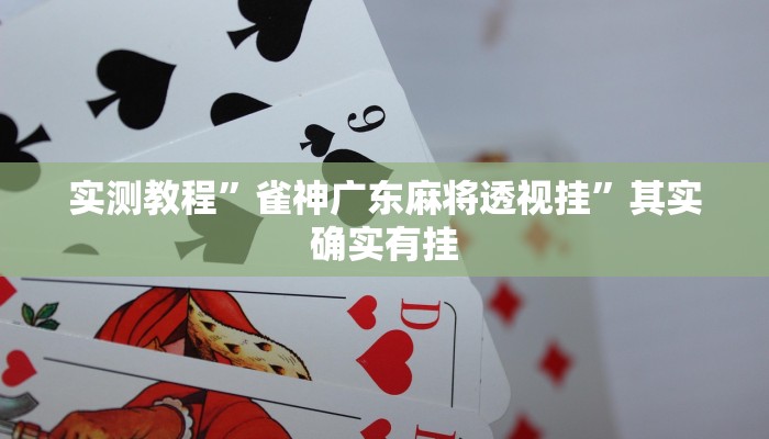 实测教程”老友福建棋牌怎么开挂”(原来确实是有挂)