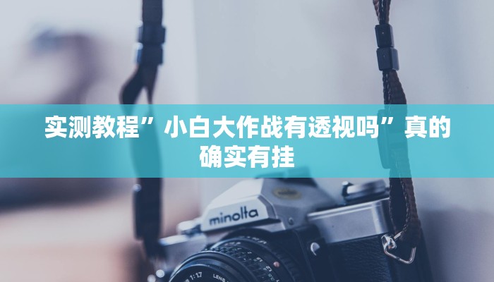 攻略必备“新蜜瓜斗牛开挂透视下载”真的确实有挂