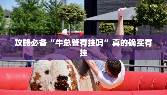 实测教程”皇冠十三水辅助挂软件”(原来确实是有挂)