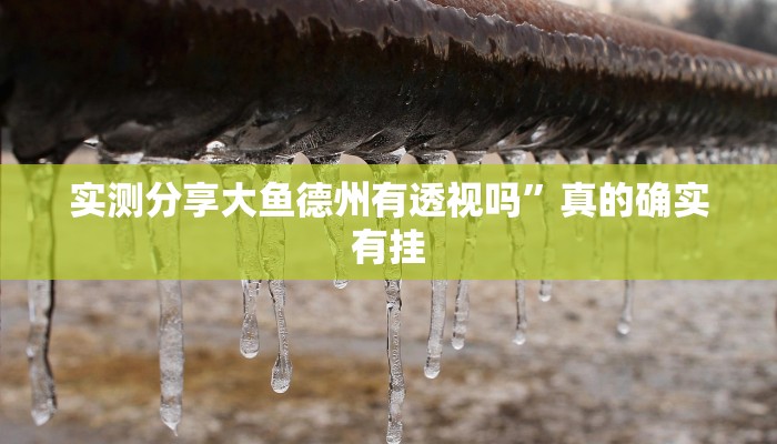 攻略必备“凤凰大厅辅助开挂”(原来确实是有挂)