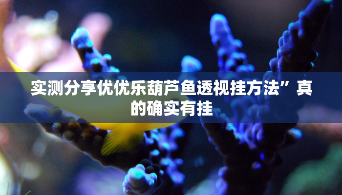 实测教程”新乐游有透视吗”(原来确实是有挂)