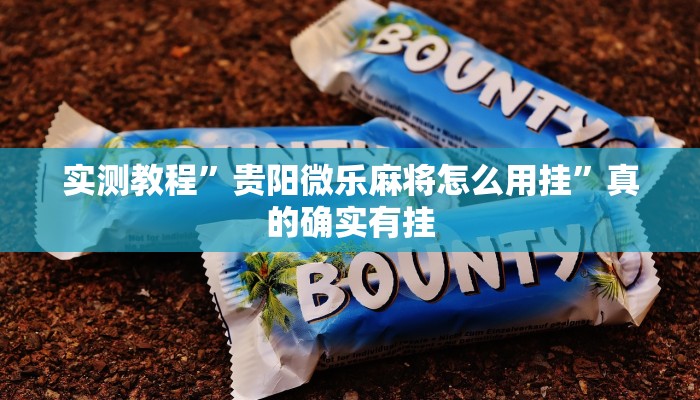 攻略必备“速八联盟辅助开挂”(原来确实是有挂)