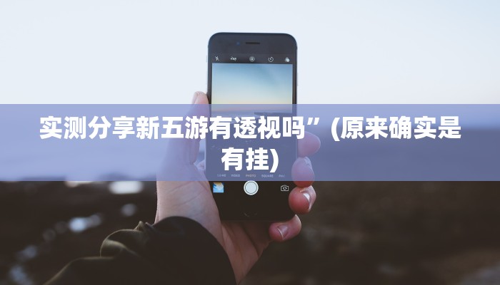 攻略必备“神盾大厅透视挂方法”真的确实有挂