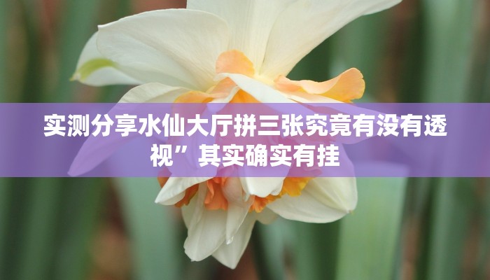 攻略必备“圣游作弊透视软件方法”真的确实有挂