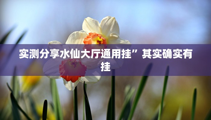 攻略必备“天天跑得快开挂神器”真的确实有挂