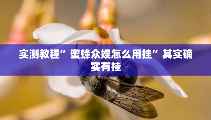 实测分享乐酷副厅透视软件”真的确实有挂
