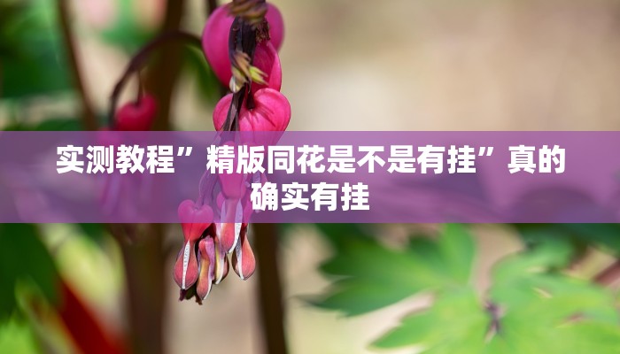 实测分享中至武宁双扣开挂神器”真的确实有挂