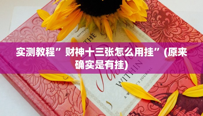 攻略必备“三宝哈尔滨麻将作弊透视开挂软件”其实确实有挂
