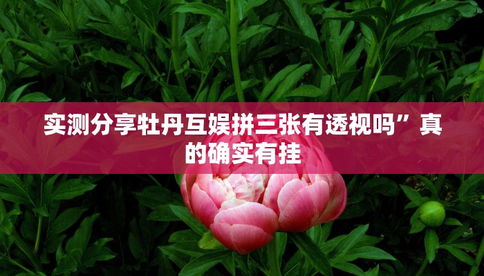 攻略必备“熊猫竞技透视”(原来确实是有挂)