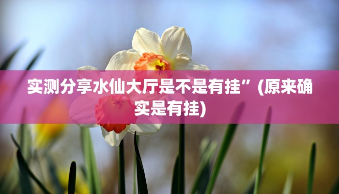实测教程”胡乐晋中麻将作弊透视软件方法”(原来确实是有挂)