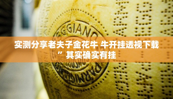 攻略必备“功夫熊猫麻将有挂吗”真的确实有挂