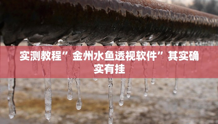 攻略必备“浙衢麻将辅助透视挂软件”(原来确实是有挂)